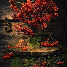 Схема вышивки «Рябина»