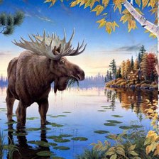 Схема вышивки «№673054»