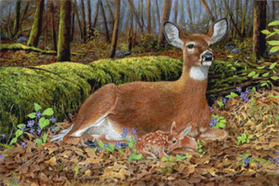 Лесные обитатели 2 - олени, лес - предпросмотр