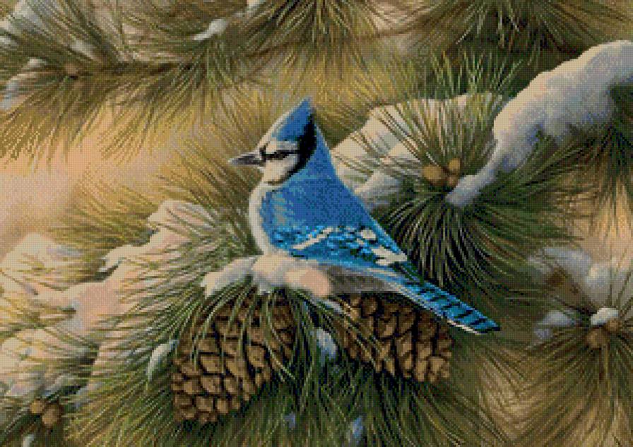 №673301 - предпросмотр