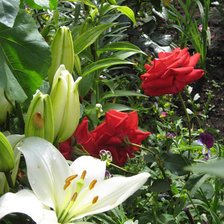 Схема вышивки «№673357»