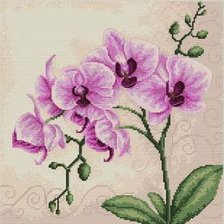 Схема вышивки «Орхидеи»
