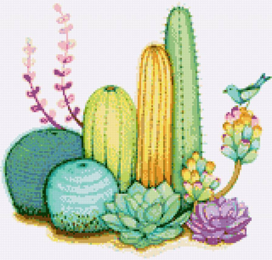 Cactus - cactus - предпросмотр