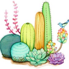 Схема вышивки «Cactus»