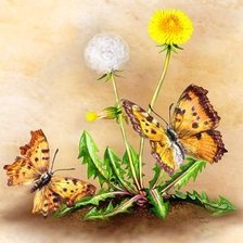 Схема вышивки «бабочки»