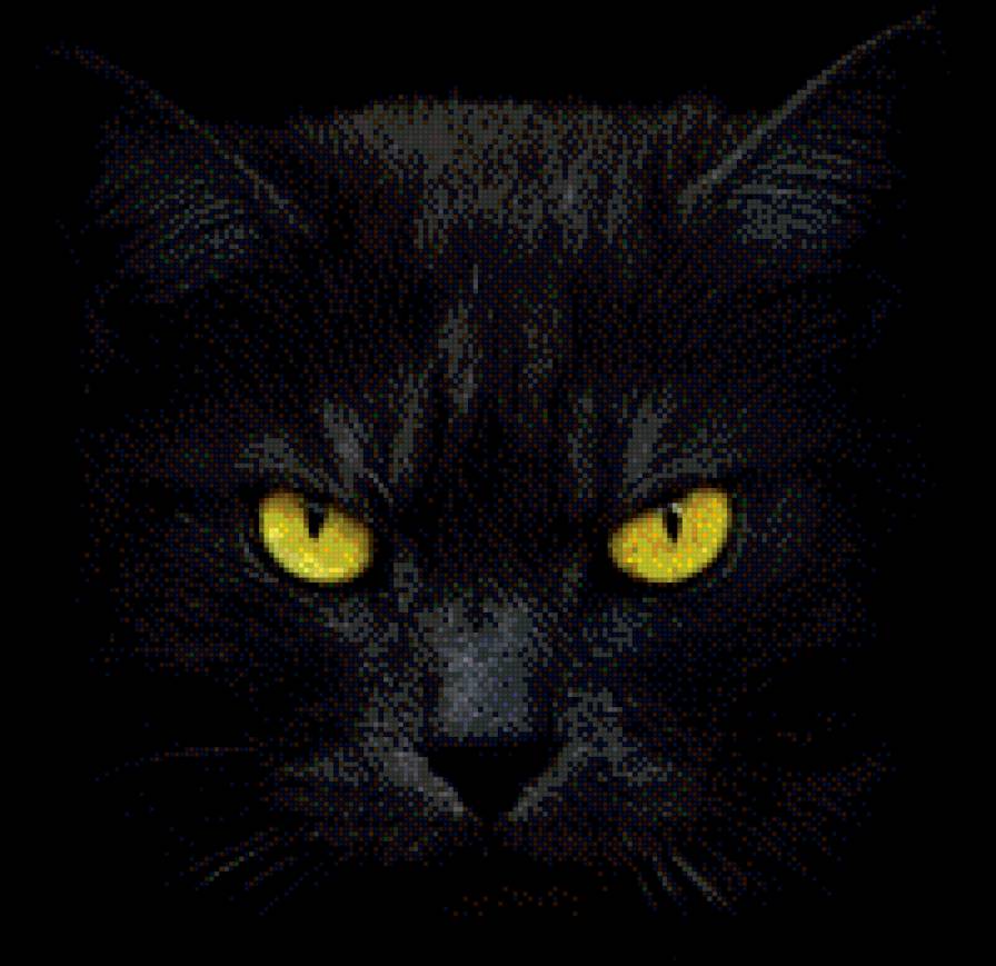 Котэ. - предпросмотр