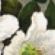 Предпросмотр схемы вышивки «№673939»