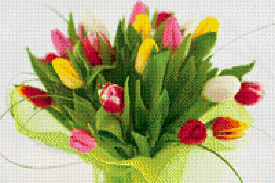 Тюльпан - цветы - предпросмотр