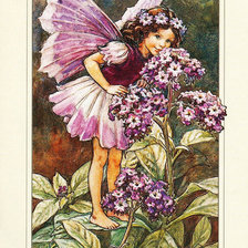 Схема вышивки «Серия "Цветочные феи": 3»