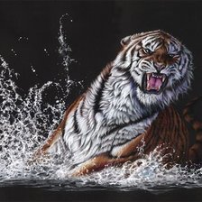 Схема вышивки «2316»