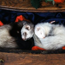 Схема вышивки «Сонное царство»