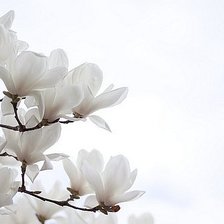 Схема вышивки «№674109»