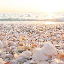 Схема вышивки «№674350»