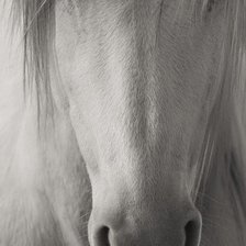 Схема вышивки «№674429»