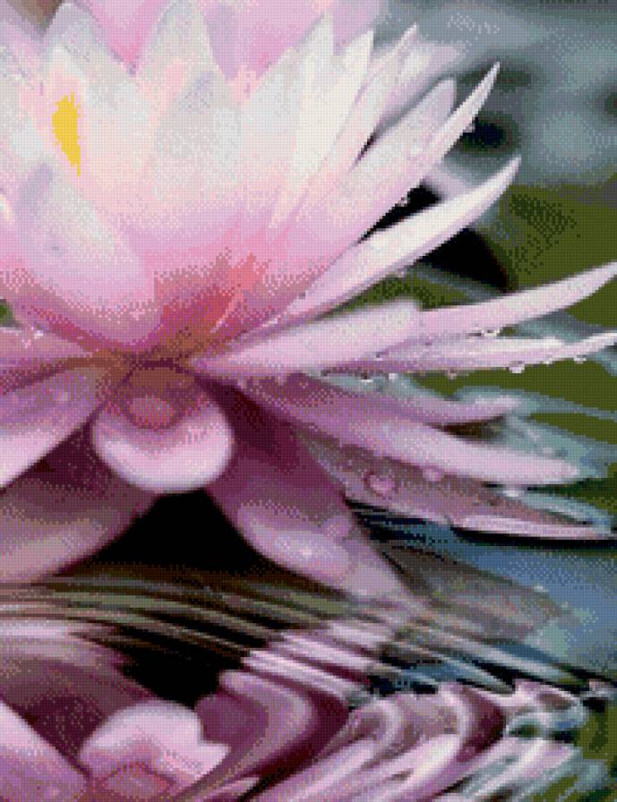 №674441 - лотос - предпросмотр