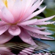 Схема вышивки «№674441»