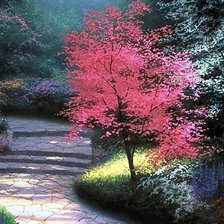 Схема вышивки «красивый парк»