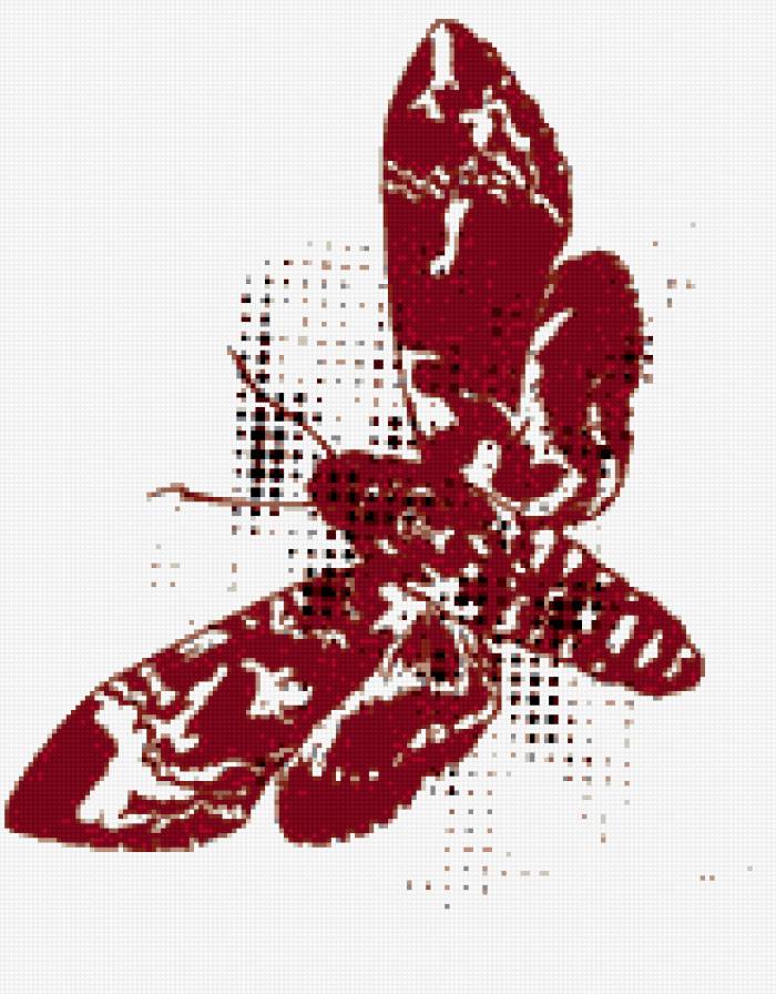 бражник - бражник мертвая голова, бабочка - предпросмотр