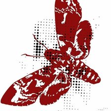 Схема вышивки «бражник»