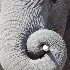 Схема вышивки «№674493»