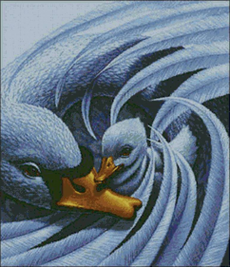 лебединая нежность - нежность, лебеди, птицы - предпросмотр