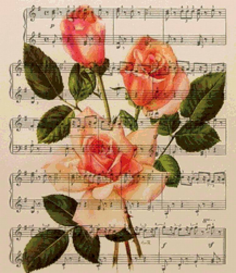 музыка и розы - розы, музыка, ноты, цветы - предпросмотр