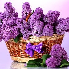 Схема вышивки «корзинка сирени»