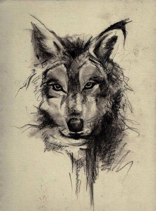 волк - волк, хищник - оригинал