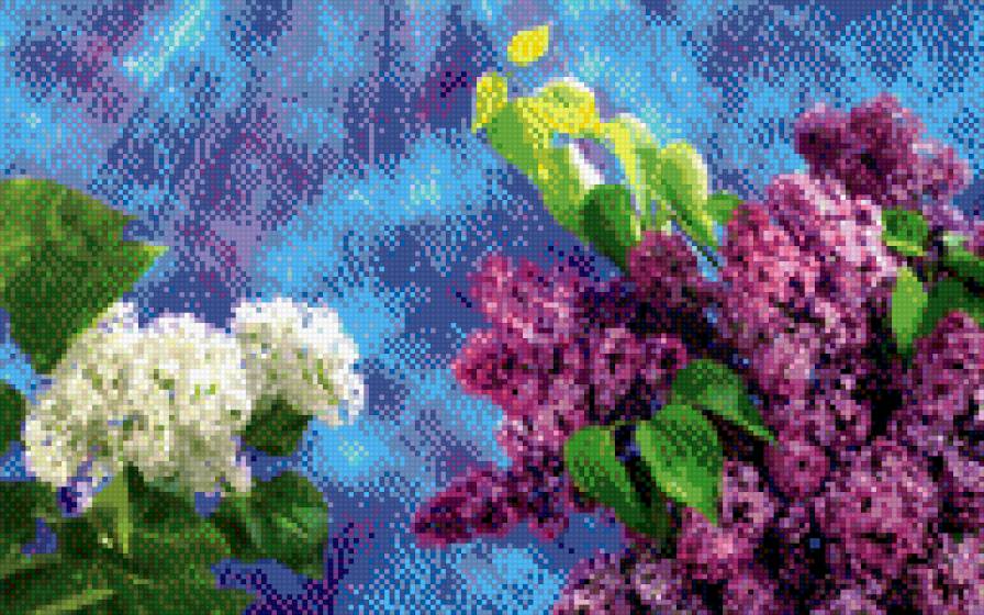 Весна - цветы, весна, сирень - предпросмотр