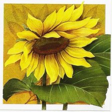 Схема вышивки «серия "подсолнухи"»