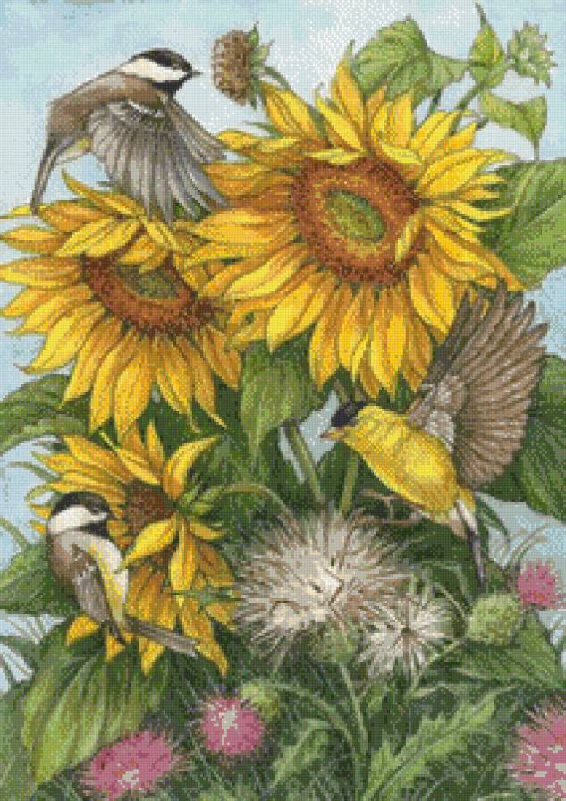 серия "подсолнухи" - цветы.подсолнухи.птицы - предпросмотр
