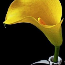 Схема вышивки «цветочек»