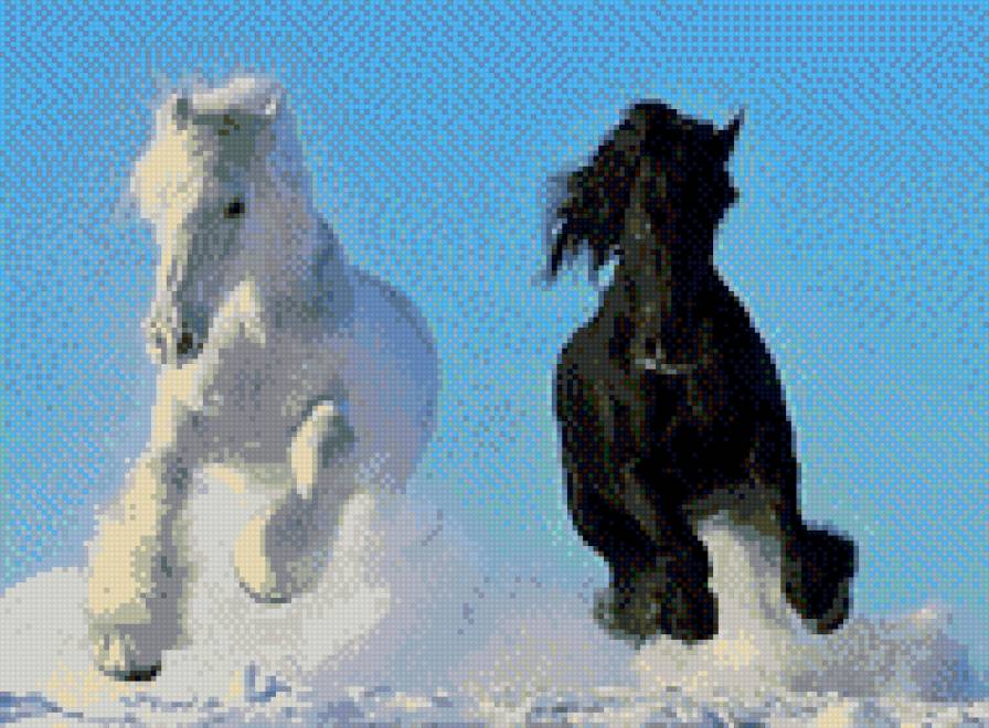 Инь и Янь! - животные, природа, лошади - предпросмотр