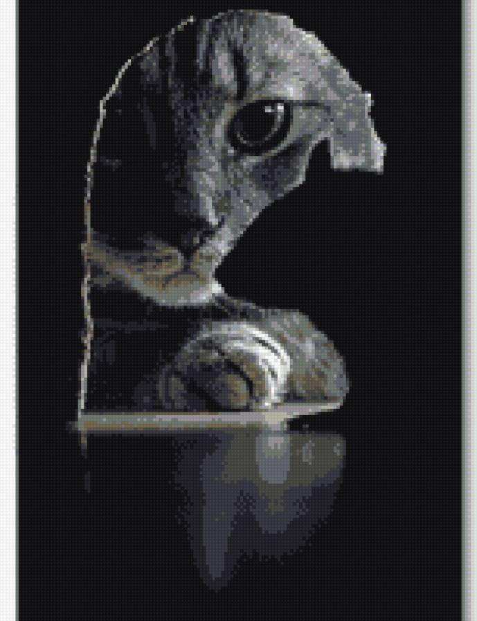 Кошки - мышки - охота, мышка, кошка - предпросмотр