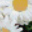 Предпросмотр схемы вышивки «Ромашки» (№675317)