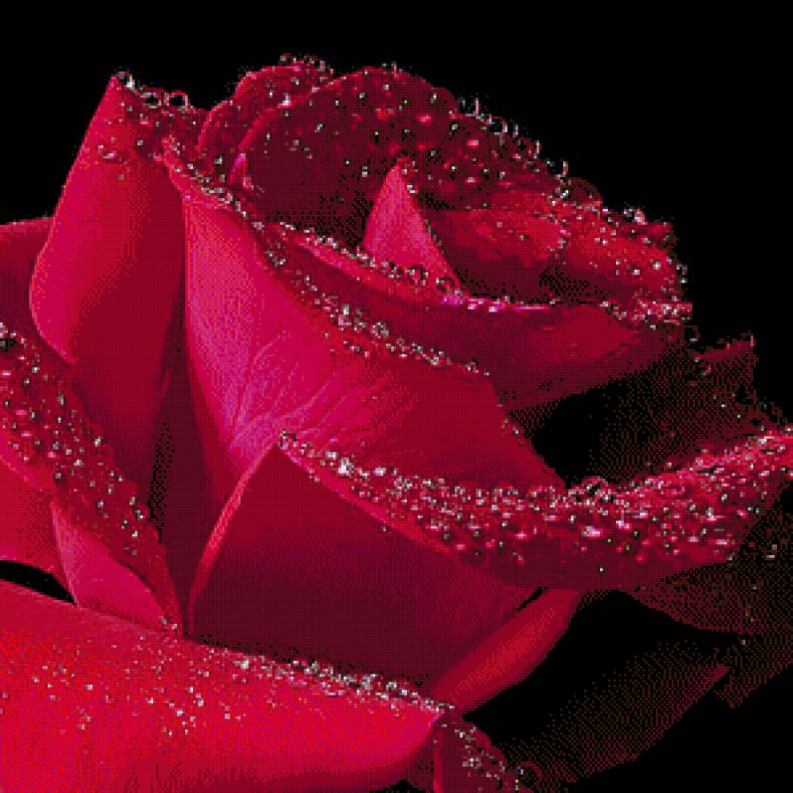 роза - подушка, цветок, роза, цветы - предпросмотр