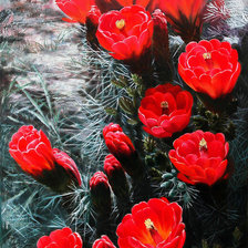 Схема вышивки «картина»