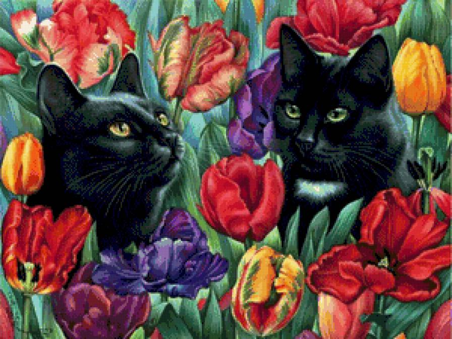 Котики - тюльпаны, природа, цветы, кошки - предпросмотр