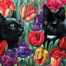 Схема вышивки «Котики»