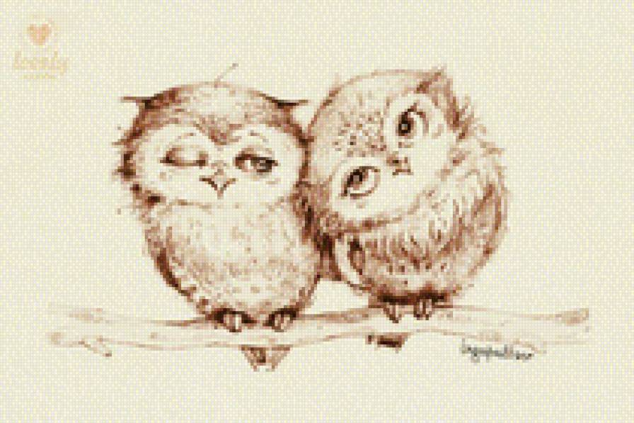 Совы-влюблёныши - любовь, сова, счастье - предпросмотр