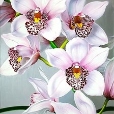 Схема вышивки «орхидеи»