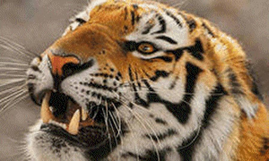 тигрик - предпросмотр