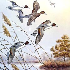 Схема вышивки «№675736»