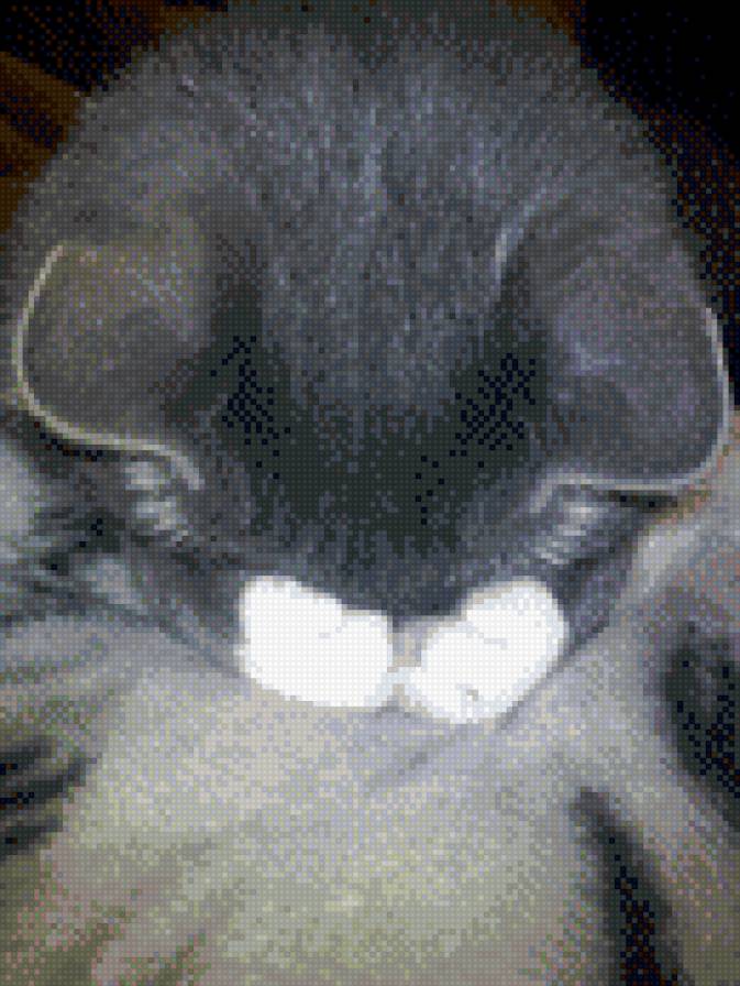 МАРСИК - плачет, спит, или - предпросмотр