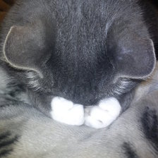 Схема вышивки «МАРСИК»