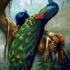 Схема вышивки «Павлины»