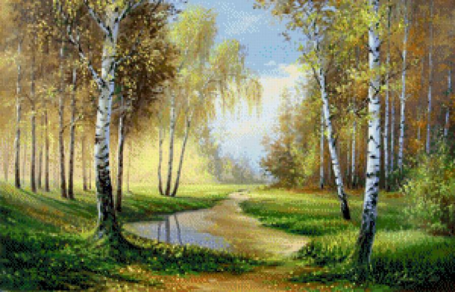 берёзовая роща - красота природы - предпросмотр