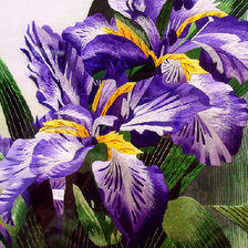 Схема вышивки «ирисы2»