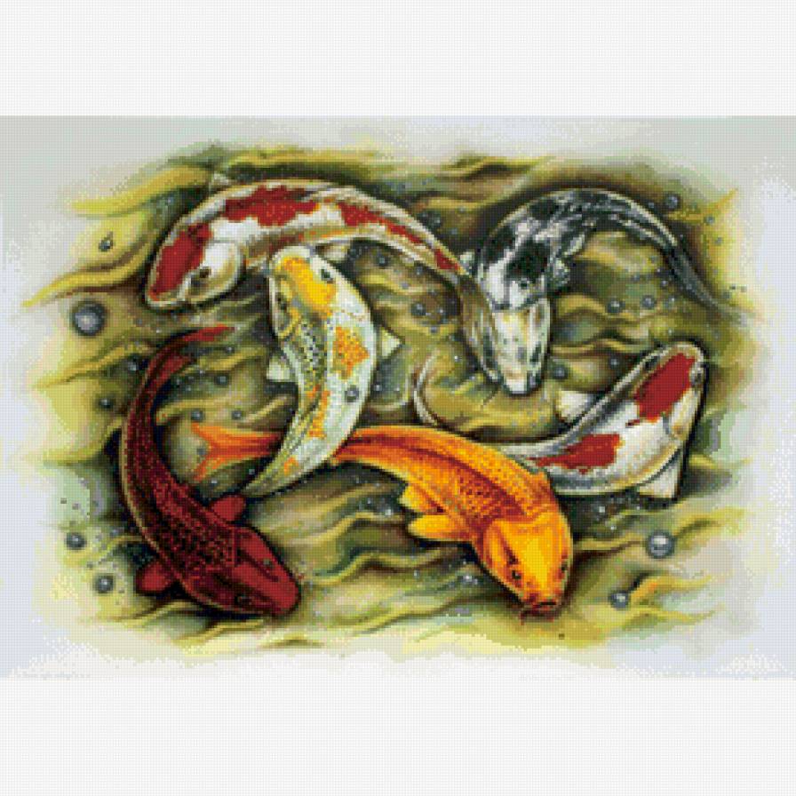 Карпы кои - карпы, природа, рыбы, карпы кои, вода - предпросмотр