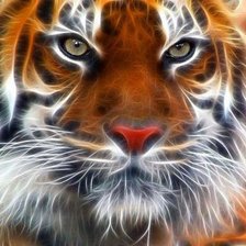 Схема вышивки «тигр»